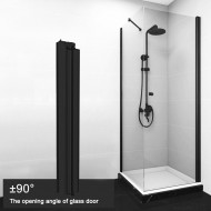 Full Length Lift & Lower Hinge - 6mm Glass - 2100mm - Black